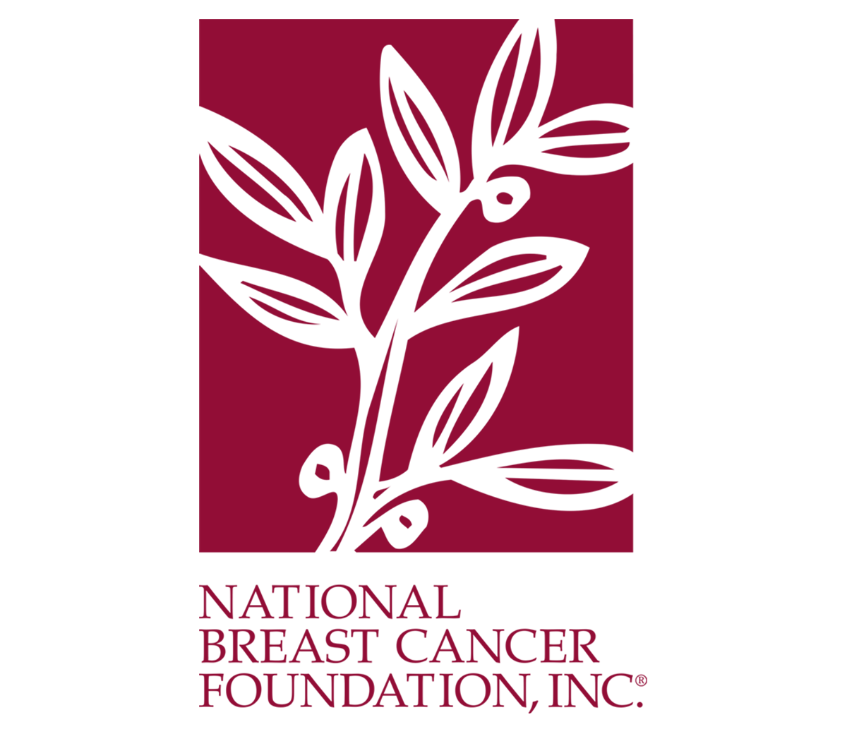 National Breast Cancer Foundation Logo 1